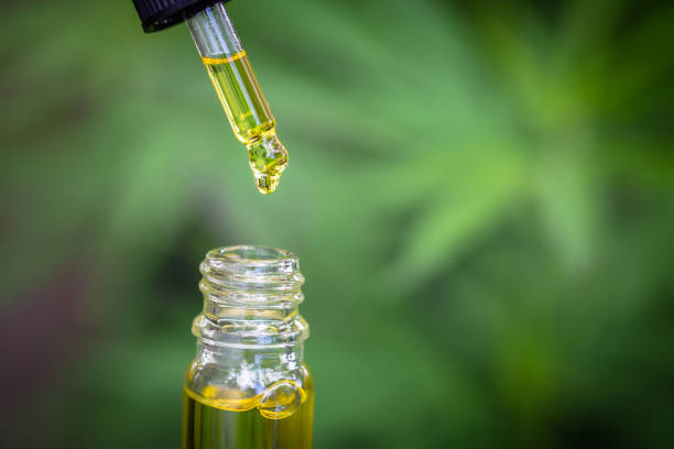 Discover the CBD Oil Benefits for Canadians How It Can Improve Your Health